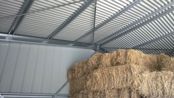 Custom Sheds Townville Mobile