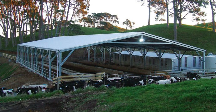 Why Choose A Sheds n Homes Equine Shed Desktop