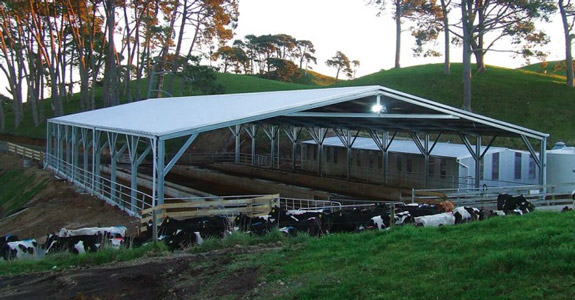 Why Choose A Sheds n Homes Equine Shed Mobile