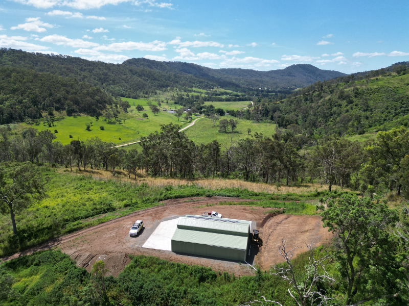 Eucalypt Lookout 2 2
